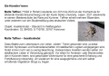 B INFO_0004 -